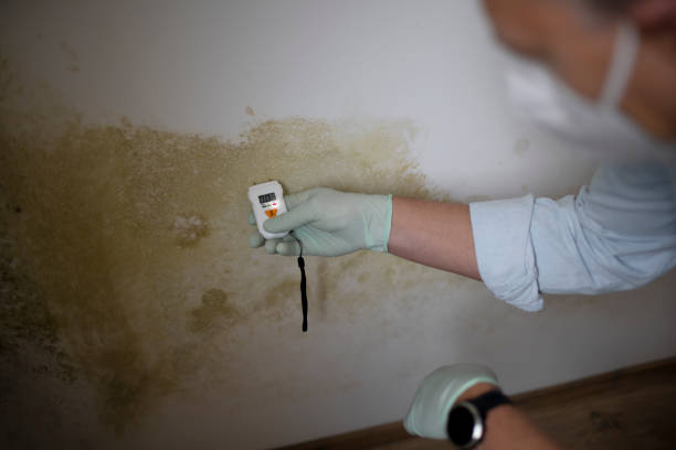 Best Mold Testing and Inspection Services in Newark, DE